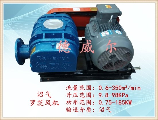 沼氣增壓羅茨風(fēng)機(jī) 沼氣增壓羅茨風(fēng)機(jī)