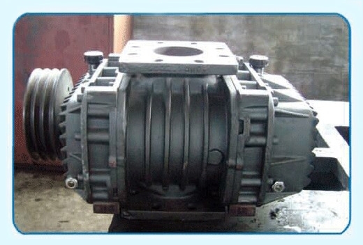 羅茨風(fēng)機(jī)維修圖一 羅茨風(fēng)機(jī)維修圖一